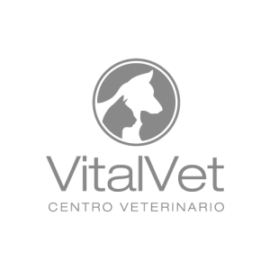 Logotipo de Vitalvet, cliente de Colectivo Zulú